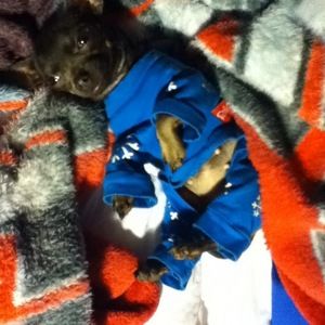 Meet your Posher, Joaquin